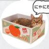 猫がみかんの段ボール箱に入っている